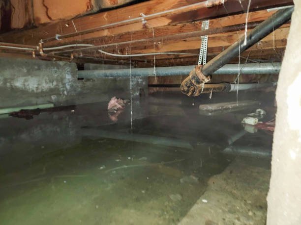 Best Water damage contractors near me  in Bedford, OH