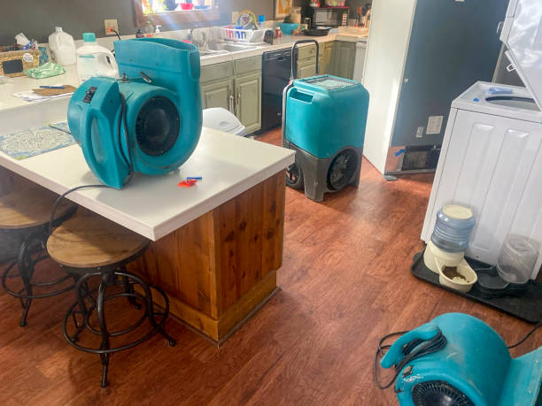 Best Water damage restoration experts  in Bedford, OH