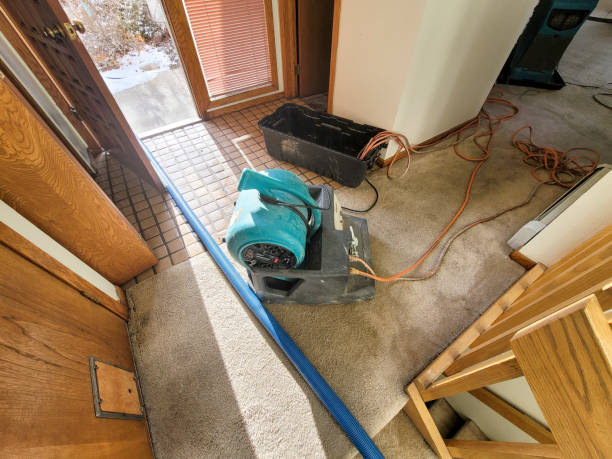 Best Sewage cleanup and water damage restoration  in Bedford, OH