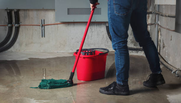 Best Flood restoration services  in Bedford, OH