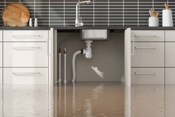 Best Local water damage restoration  in Bedford, OH