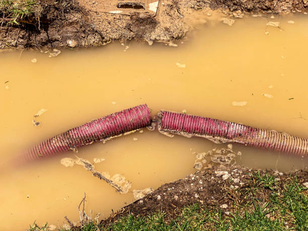 Best 24-hour water damage restoration  in Bedford, OH